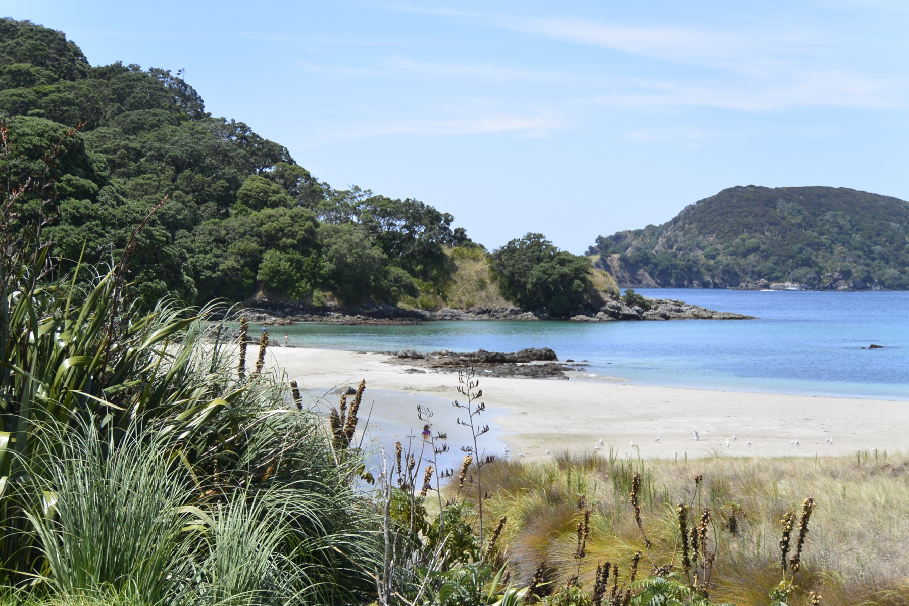 Scenic island coast